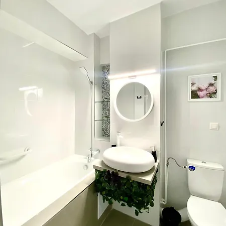 Union Experience - Center * 티미쇼아라