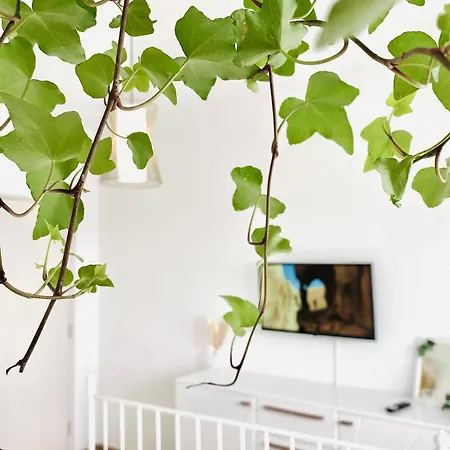 Union Experience - Center Apartman Temesvár