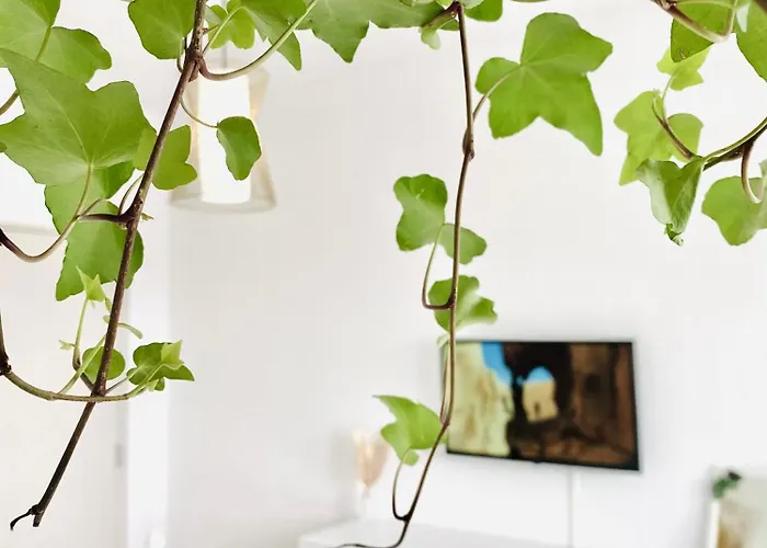 Union Experience - Center Apartment Timişoara